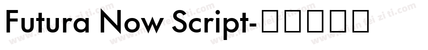 Futura Now Script字体转换